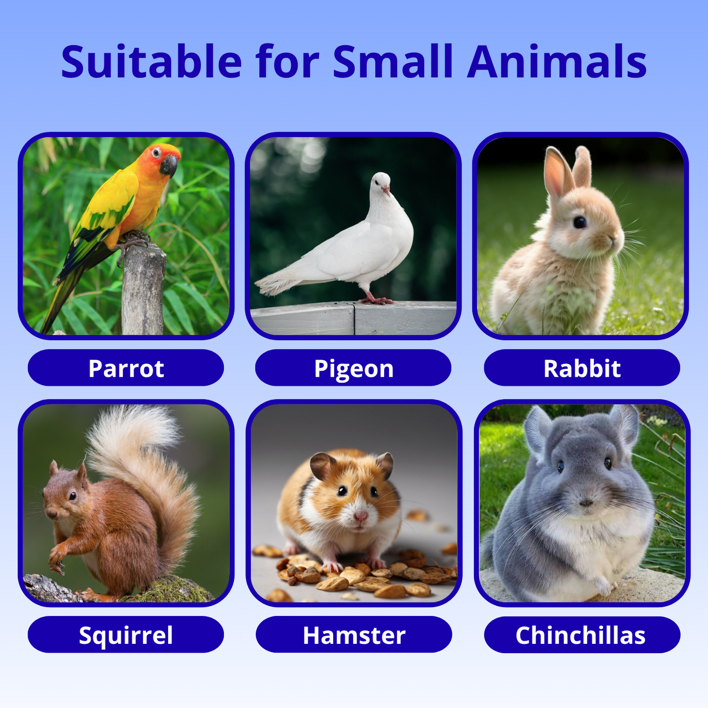 4-Pack Stainless Steel Bird Food Bowls with Clamp – 10oz Hanging Cage Cups | Ships from Quebec